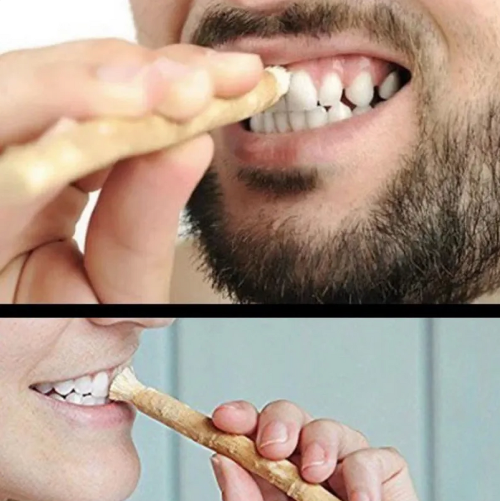 Miswak Tooth Cleaning Stick Stashed cav